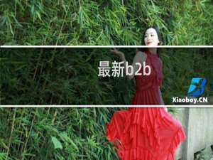 最新b2b