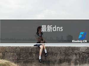 最新dns