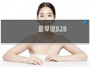 最早做B2B