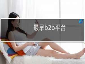 最早b2b平台