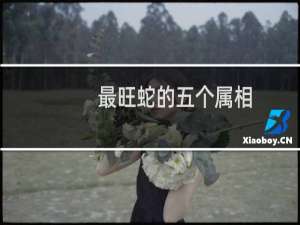 最旺蛇的五个属相