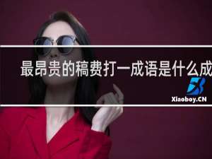 最昂贵的稿费打一成语是什么成语