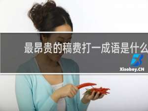 最昂贵的稿费打一成语是什么