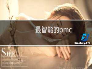 最智能的pmc
