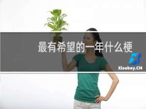 最有希望的一年什么梗
