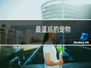 最温顺的宠物