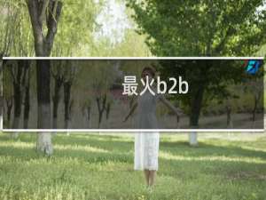 最火b2b