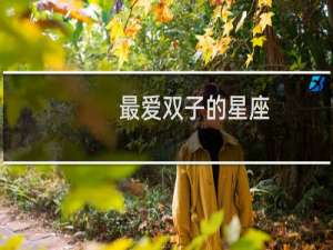 最爱双子的星座