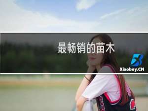 最畅销的苗木