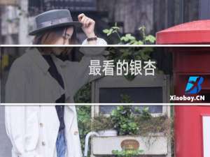 最看的银杏