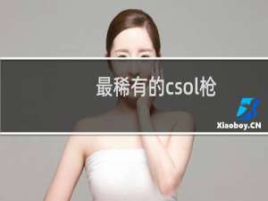 最稀有的csol枪
