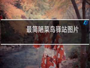 最简陋菜鸟驿站图片