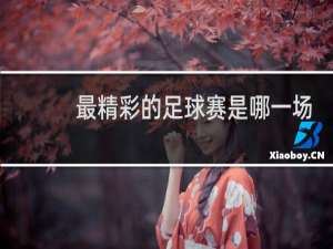 最精彩的足球赛是哪一场