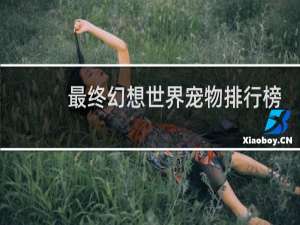 最终幻想世界宠物排行榜