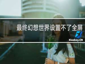 最终幻想世界设置不了全屏