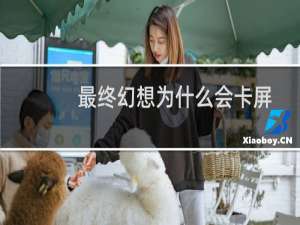 最终幻想为什么会卡屏