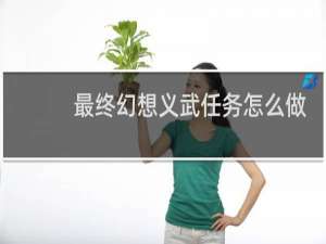 最终幻想义武任务怎么做