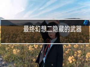 最终幻想二隐藏的武器