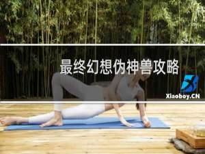 最终幻想伪神兽攻略
