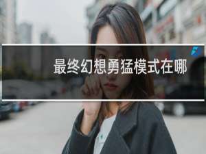 最终幻想勇猛模式在哪