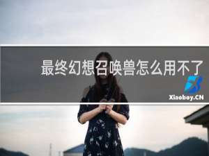 最终幻想召唤兽怎么用不了