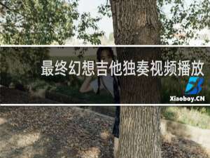 最终幻想吉他独奏视频播放