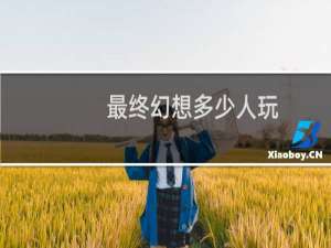 最终幻想多少人玩