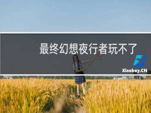 最终幻想夜行者玩不了