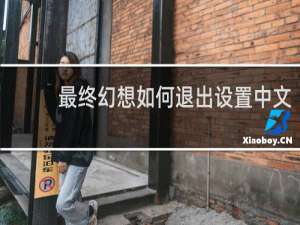 最终幻想如何退出设置中文
