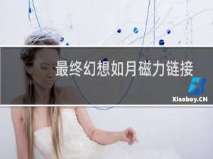 最终幻想如月磁力链接