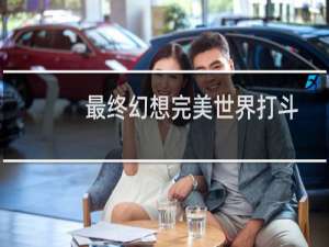 最终幻想完美世界打斗