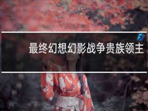 最终幻想幻影战争贵族领主