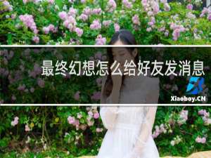 最终幻想怎么给好友发消息