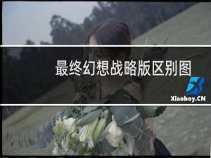 最终幻想战略版区别图