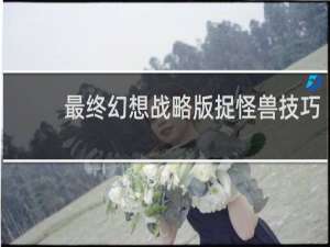最终幻想战略版捉怪兽技巧