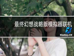 最终幻想战略版模拟器联机