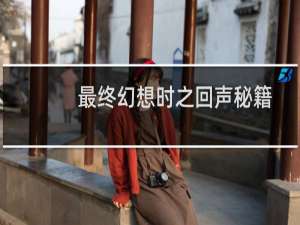 最终幻想时之回声秘籍