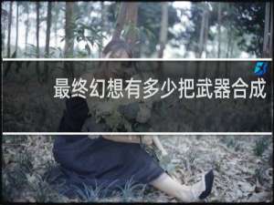 最终幻想有多少把武器合成