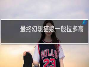 最终幻想猫娘一般拉多高