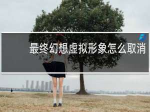 最终幻想虚拟形象怎么取消