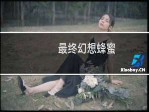 最终幻想蜂蜜