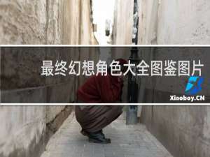 最终幻想角色大全图鉴图片