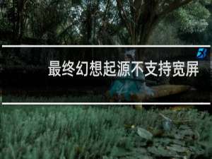 最终幻想起源不支持宽屏