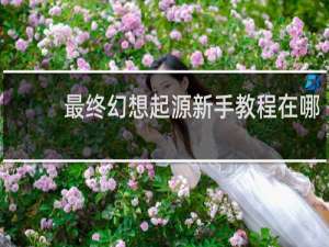 最终幻想起源新手教程在哪