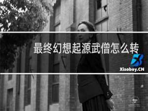 最终幻想起源武僧怎么转