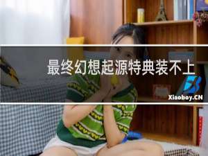 最终幻想起源特典装不上