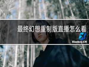 最终幻想重制版直播怎么看