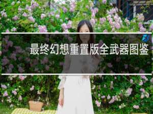 最终幻想重置版全武器图鉴