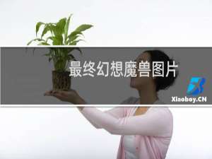最终幻想魔兽图片