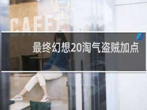 最终幻想 淘气盗贼加点